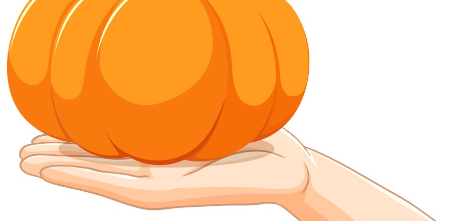 Hand Holding a Vibrant Orange Pumpkin